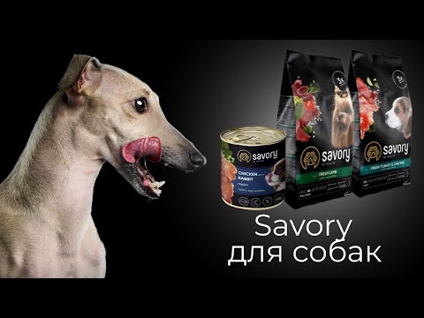 Сухие и влажные корма Savory для собак