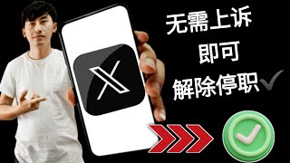 如何在 2025 年无需申诉即可解除 Twitter (X) 帐户的暂停 | 快速解锁已暂停的 X 帐户