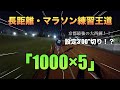 速いランナーが良くするド定番練習1000×5本3分ペースぐらいでやったけどキツすぎた