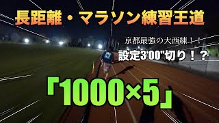 速いランナーが良くするド定番練習1000×5本3分ペースぐらいでやったけどキツすぎた