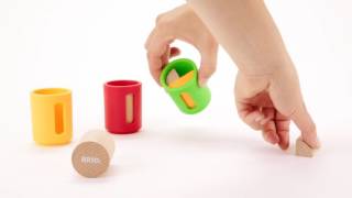 30173 Shape Sorter Set