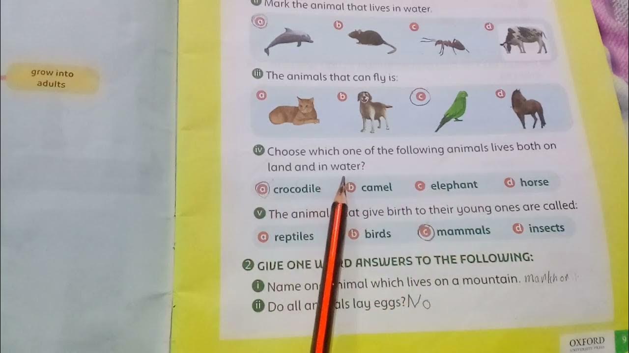 Oxford Supplementary Reading Material Understanding Stem Grade 2 Unit 1  More About Animals - YouTube