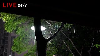 Cozy rain sound ASMR white noise that will help you fall asleep comfortably and forget insomnia