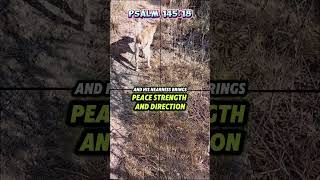 thanks God, please support my YouTube channel, subscribe like and share