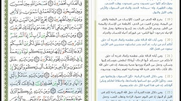 Surat Ar Rum - 30 - القرآن الكريم بصوت محمود خليل الحصري - سورة الرُّوم