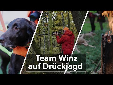 Video: Parfors-Jagd: Geschichte, Ablauf und Art der Jagd mit Jagdhunden