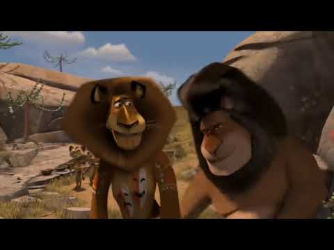 მოცეკვავე ბოქსიორი