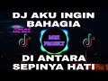 DJ AKU INGIN BAHAGIA | ARIEF TERBARU 2021 (REMIX SLOW VIRALL TIKTOK)