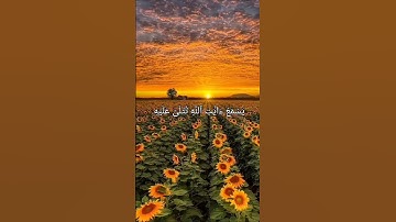 تلاوة هادئة ومؤثرة جداً بصوت الشيخ مشاري العفاسي♡
