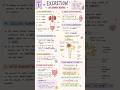 Class 10 Life Processes🧬🫀 short notes #ncert