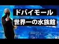 【ドバイモール】世界最大のショッピングモールが最高だったw 【海外Vlog】