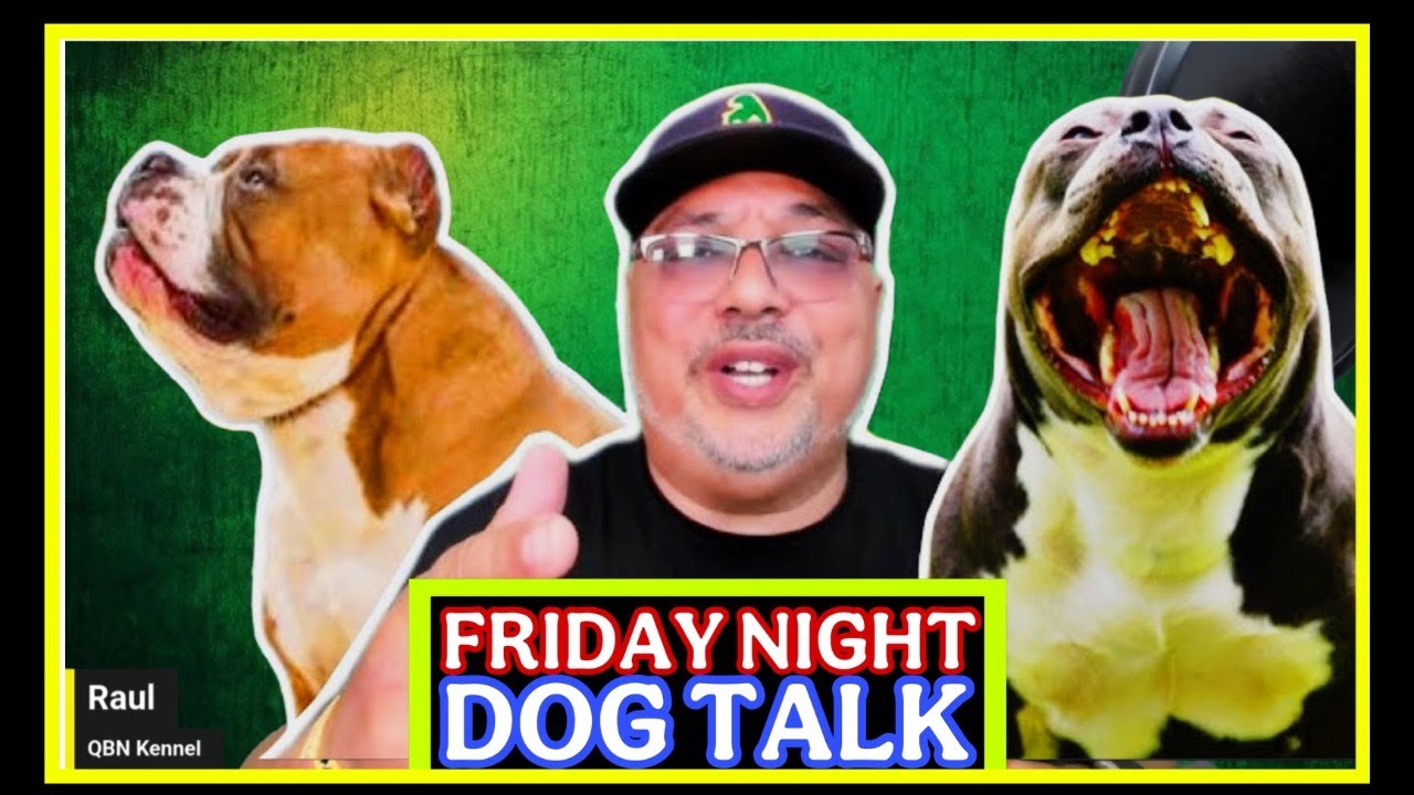 dog-food-ingredients-that-cause-yeast-in-your-dog-youtube