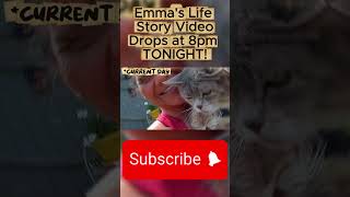 Alone & Starving: Emma's Struggle for Survival #AnimalRescue #CatPOV #CuteCat #StoryTime #FatCat