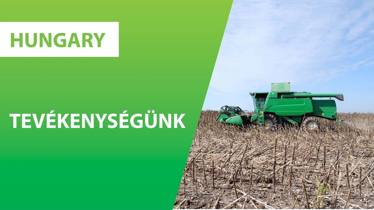 Kik vagyunk - Tevékenységeink bemutatása I Axereal Hungary