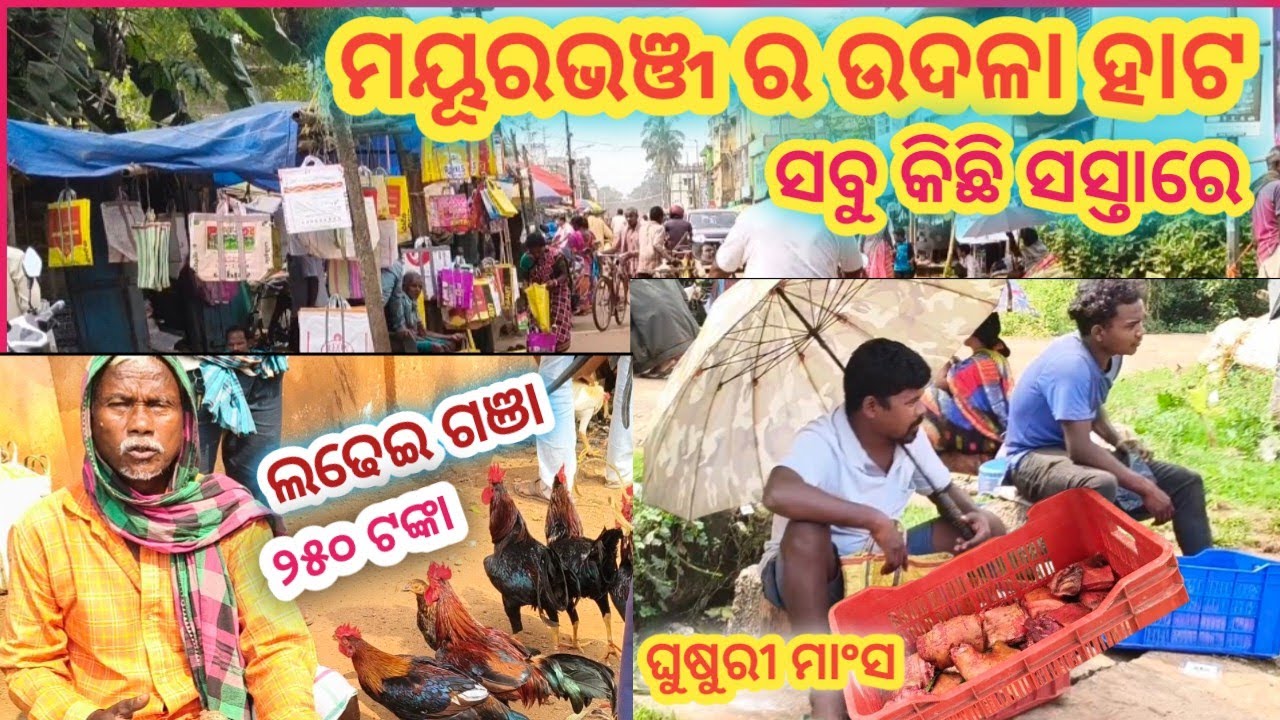 ମୟୂରଭଞ୍ଜ ର ଏହି ହାଟ ପ୍ରତ୍ୟେକଟି ଜିନିଷ କମ୍ ରେ ମିଳେ @Rajani_Village_Cooking #cooking #viralvideos 