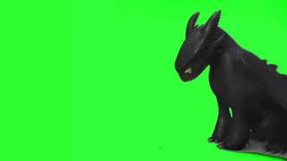 Toothless green screen video.