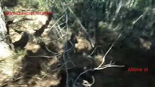 Domuz Avı Boar Haunting Domuzavcısı İbrahim