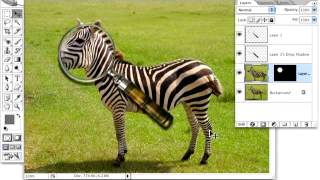 Magnify Area - Photoshop Tutor