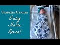 Official Baby Name Reveal Vlog | First 24 Hours with Newborn Baby