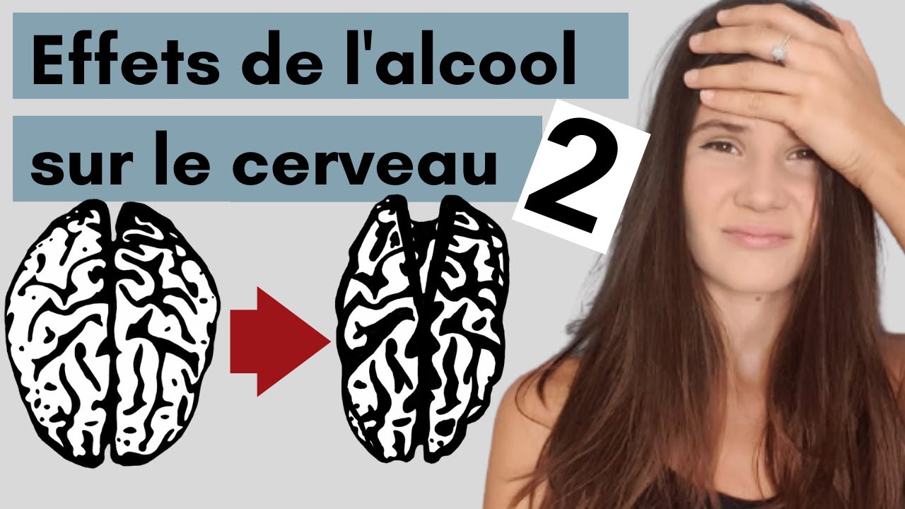 Les effets de l'alcool sur le cerveau PARTIE 2