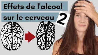 Les effets de l'alcool sur le cerveau PARTIE 2