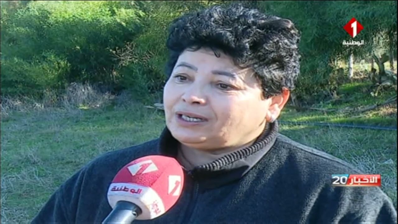 غار الملح/ بنزرت : نظام زراعي فريد في العالم مهدد بالإندثار… ينتظر الإنقاذ