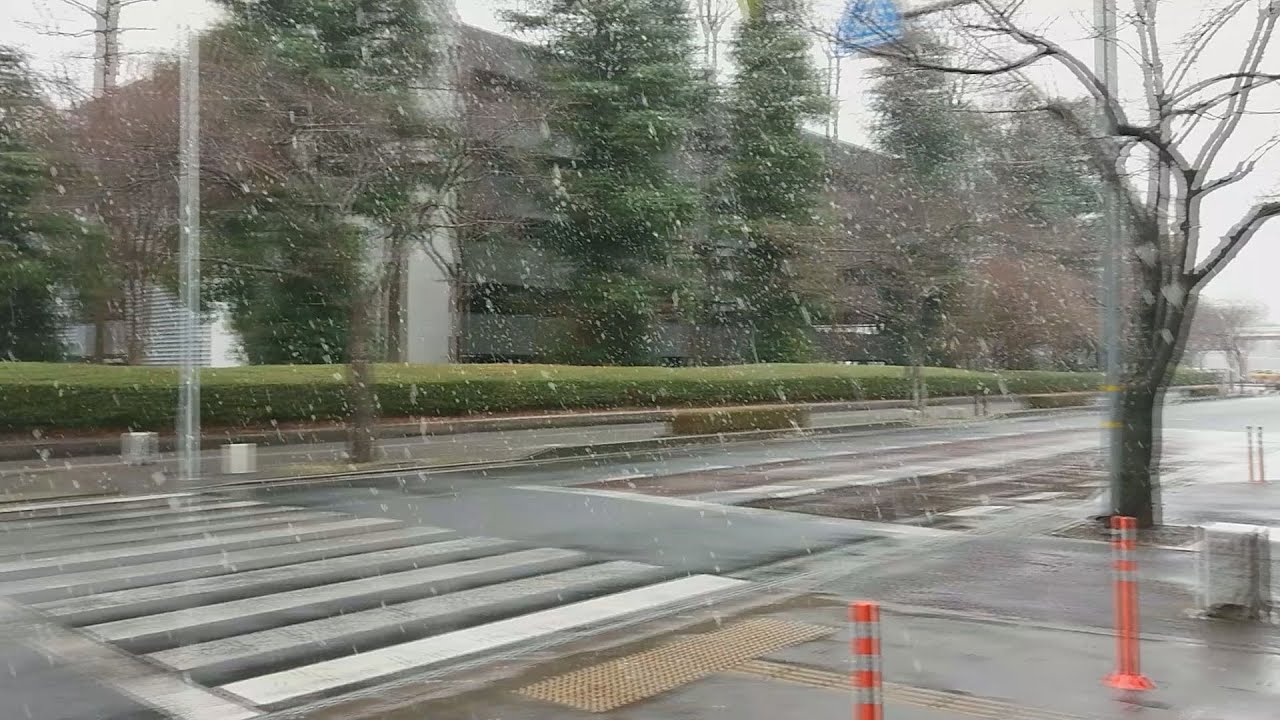 茨城新聞 茨城県内 ブルッ 雪やみぞれ