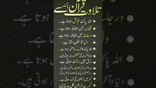 recite of holy Quran #education #viral #duet #knowledge #shortsfeed #tutorial #reels