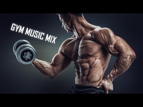 Nhạc Electro House tập GYM cực chất || LIVE 24/7 Nhạc Tập GYM