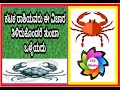 Significance of Cancer Zodiac sign. ಕಟಕ ರಾಶಿಯವರು ಈ ವಿಚಾರ ತಿಳಿದು ಕೊಂಡಿದ್ದರೇ ತುಂಬಾ ಉಪಯೋಗ ವಾಗುತ್ತದೆ