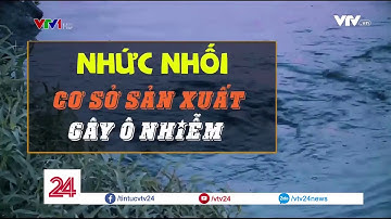 Tiêu điểm: Nhức nhối cơ sở sản xuất gây ô nhiễm - Tin Tức VTV24