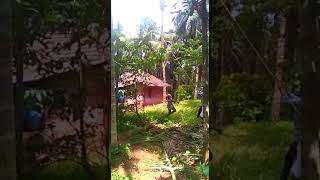 Double.dealing.2-2018.New.released.full.hindi.dubbed.movie..rakul.preet.singh 2018.Dubbed.movie