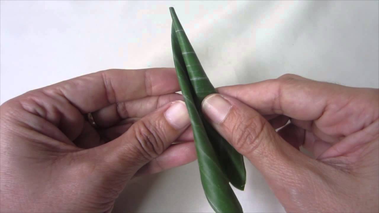 กลีบนิ้วมือนางเก็บชาย10/62