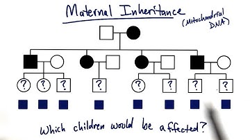 Mitochondrial Inheritance - Tales from the Genome
