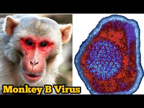 История вакцинации - YouTube
