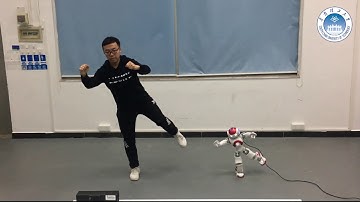 Whole-Body Imitation by Humanoid Robots and Task-Oriented Teleoperation