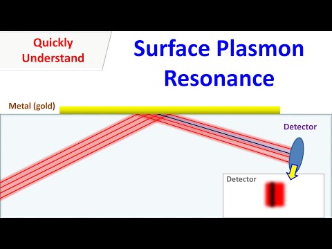 Video: Dalam plasmon permukaan?