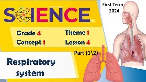Respiratory System | Grade 4 | Unit 1 - Concept 1 - Lesson 3 - Part (1/2) | Science