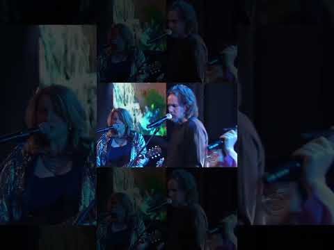 Broken Social Scene on the Colbert Late Show