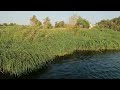 الطبيعة الجميلة لمياه نهر النيل- شارونة مغاغة