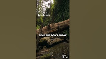 Stand Firm: Embrace Life