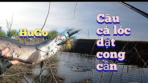 câu lure câu rê cá lóc sông bằng nhái lắc nhái nhảy mồi giả cá táp là dính