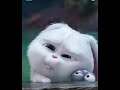 Rabbit #trending  #viralvideo #cartoons #cartoon #viralshorts
