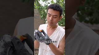 地里的红薯熟啦 今天哥俩去刨红薯 自己在家做拔丝红薯 香甜可口 大家伙儿都吃开心咯