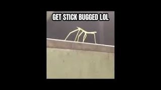 Fe2 Map Test:Get Stick Bugged LoL[GET STICK BUGGED crazy]