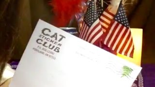 Totally Disappointed Again! Cat Sticker for November? Really? Soft Spoken, ASMR, Chewing Bubble Gum screenshot 5