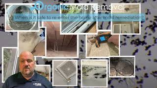 Organic Mold Removal | When is it safe to re enter the home after mold remediation?