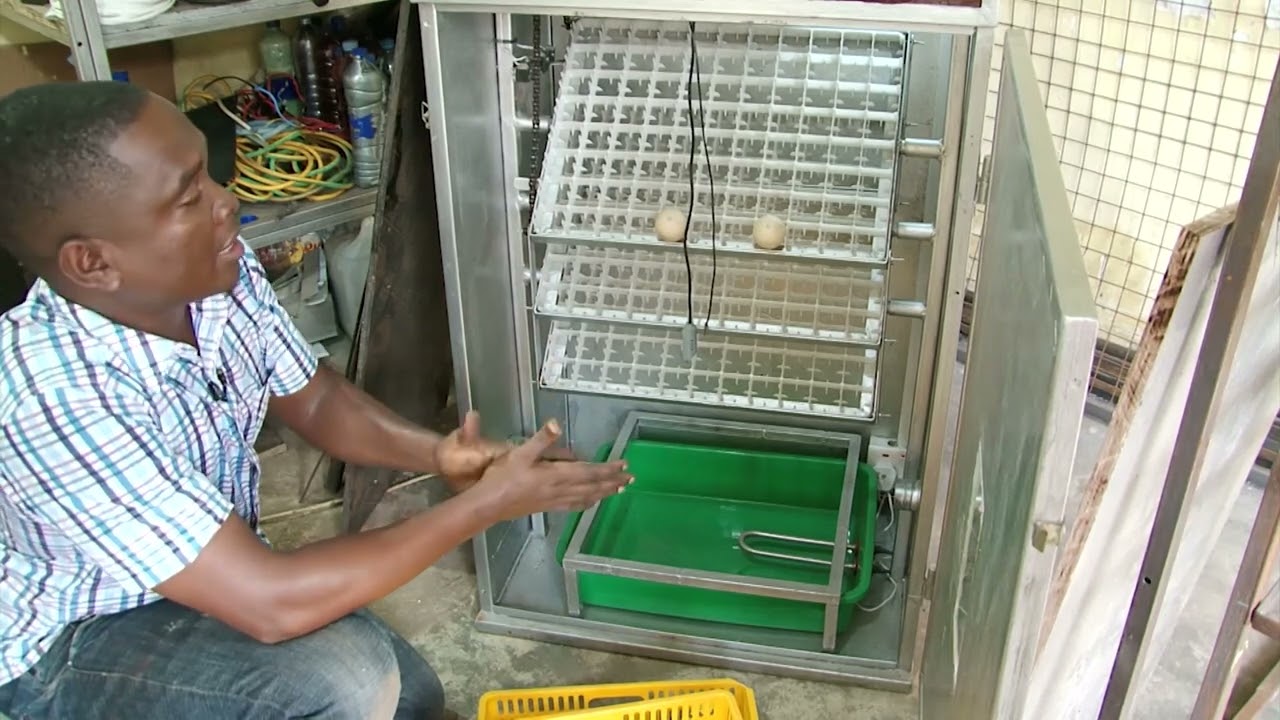 Incubators Machines Bora zaidi  Matokeo ya Uanguaji ni 90%  Full Automatic +255 713 852 296