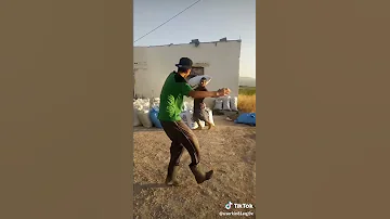 اجمل فيديو في عالم براس جدودك يافطومة 