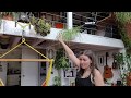 Plant tour 80 plantes  a la rencontre des plantes addict pisode 2